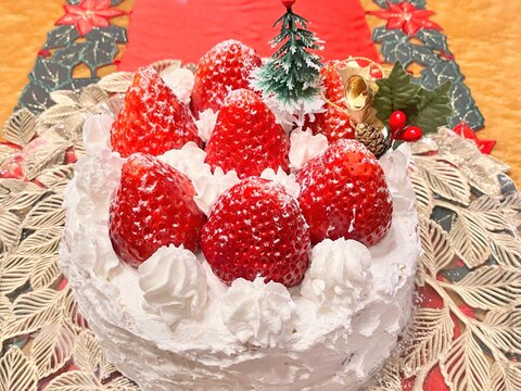 〜大きな苺のクリスマスケーキ〜